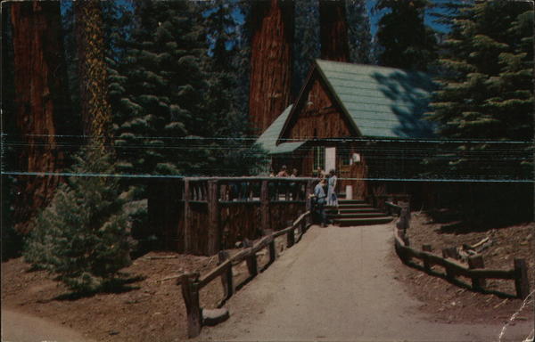 Giant Forest Lodge, Sequoia National Park California