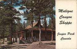 Maligne Canyon Shoppe Jasper National Park, AB Canada Alberta Postcard Postcard Postcard