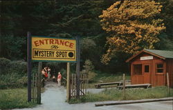 Entrance to The Mystery Spot Postcard