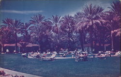 Wonder Palms Hotel and Guest Ranch Postcard