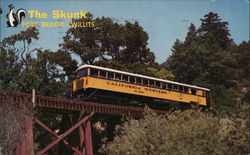 The Skunk Postcard