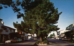 Picturesque Ocean Avenue Postcard