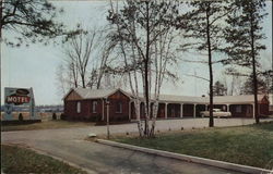 The Pines Motel Fairview, MA Postcard Postcard Postcard