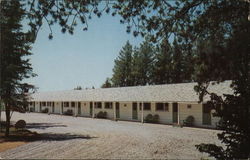 The Pine Cone Motel Postcard