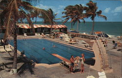 Swimming Pool by the Ocean Miami Beach, FL Postcard Postcard Postcard