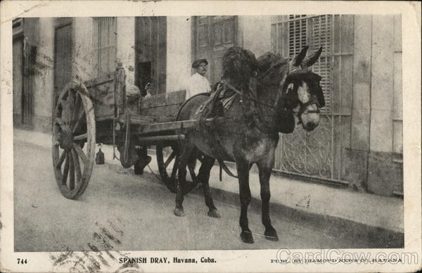 Spanish Dray Havana Cuba