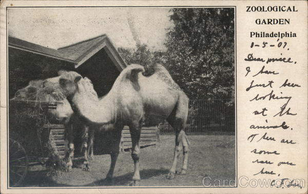 Zoological Garden Philadelphia Pennsylvania