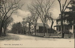 Morris Ave. Springfield, NJ Postcard Postcard Postcard