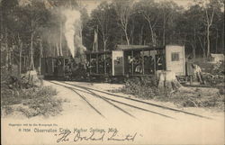 Observation Train Postcard