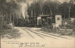 Observation Train harbor Springs, MI Postcard Postcard Postcard