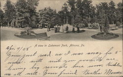 A View in Lakemont Park Altoona, PA Postcard Postcard Postcard