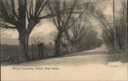 Willow Causeway Salem, NJ Postcard Postcard Postcard