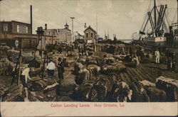 Colton Landing Levee Colton Landing Levee