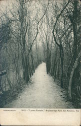 "Lovers Retreat" Brackenridge Park Postcard