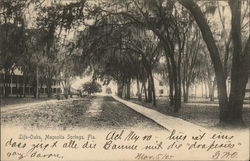 Life-Oaks Life-Oaks