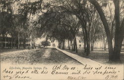 Life-Oaks Magnolia Springs, FL Postcard Postcard Postcard