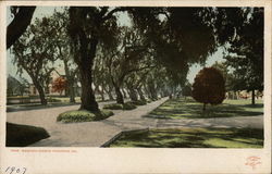 Marengo Avenue Pasadena, CA Postcard Postcard Postcard