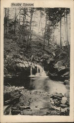 Hardy Brook New Hampshire Postcard Postcard Postcard