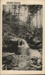 Hardy Brook Postcard