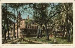 Pine Forest Inn Summerville, SC Postcard Postcard Postcard