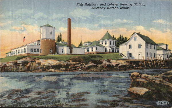 Fish Hatchery and Lobster Rearing Station Boothbay Harbor Maine