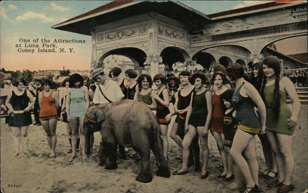 Baby Elephant, Luna Park, Coney Island New York