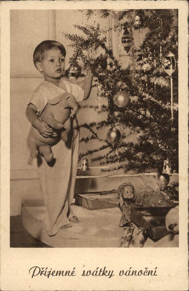 Boy with an elephant you posing with a Christmas tree