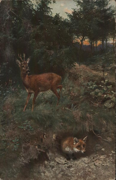 Deer & Fox
