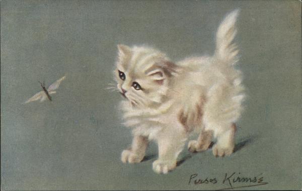 White Kitten with Butterfly Cats
