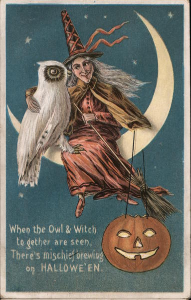 Witch and Owl sitting on Crescent Moon Halloween