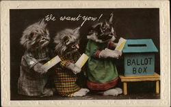 Kittens in Clothing Voting - We Want You! Dressed Animals Postcard Postcard