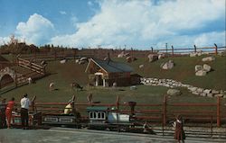 Goats on the Hillside Above Railway Tunnel, Children's Zoo, Storyland Valley Postcard