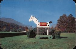 Tryon Horse Show - Famous Tryon Horse Postcard