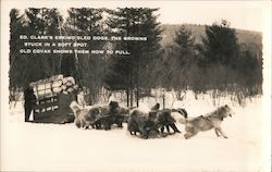 Ed. Clark's Eskimo Sled Dogs Postcard