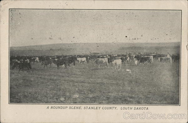 A Round-Up Scene South Dakota