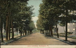 Jenny Lind Street Postcard