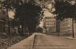 Buffalo Ave. and Shredded Wheat Factory Buffalo Ave. and Shredded Wheat Factory