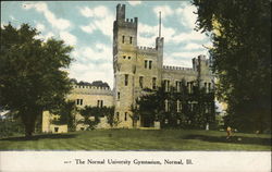 The Normal University Gymnasium Illinois Postcard Postcard Postcard