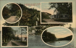 Glimpses of Eddy Farm Postcard