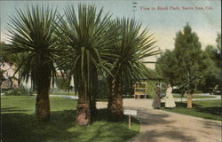 View in Birch Park Postcard
