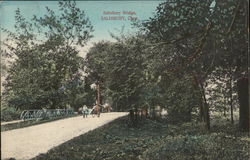 Salisbury Bridge Postcard