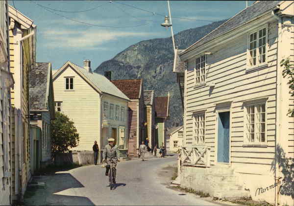 Village Street Scene Laerdal Norway