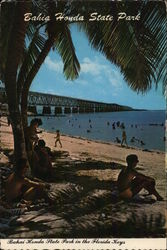 Bahia Honda State Park Florida Postcard Postcard Postcard