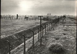 Auschwitz-Birkenau Government Museum, Hitler's Extermination Camp Fields Poland Nazi Germany Postcard Postcard Postcard