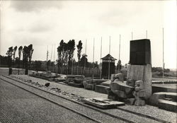 Auschwitz - Birkenau Postcard