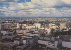 View of the City View of the City