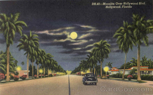 Moonlite Over Hollywood Blvd Florida