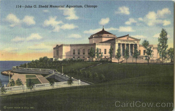 John G. Shedd Memorial Aquarium Chicago Illinois