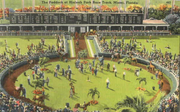 The Paddock At Hialeah Park Race Track Miami Florida