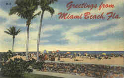 Greetings From Miami Beach Postcard
